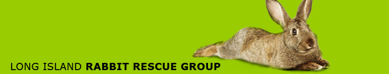 Long Island Rabbit Rescue Group banner