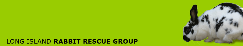 Long Island Rabbit Rescue Group banner