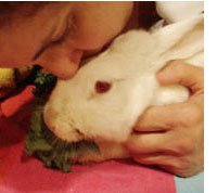 Alexanders Fund-Long Island Rabbit Rescue Group